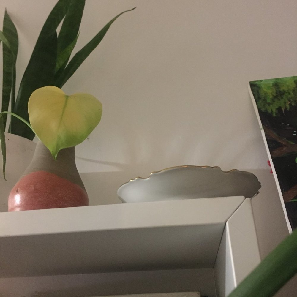 JLMenau antique porcelain mini plate